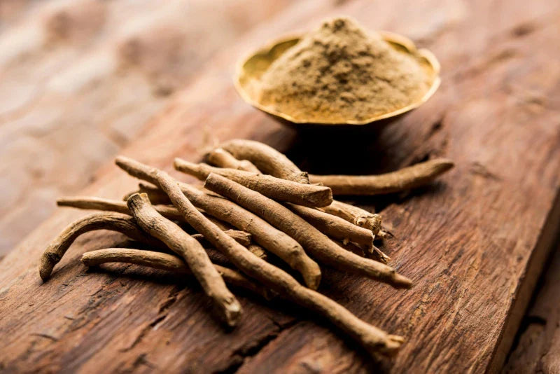 Ashwagandha – Der große Guide