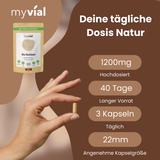 Bio Hericium Kapseln Lionsmane