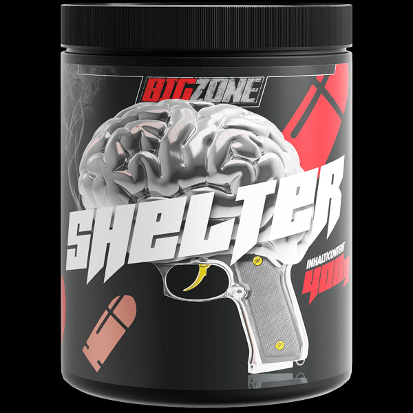 Big Zone Shelter 2.0 - 450g - 