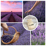 Bio Lavendelsäckchen