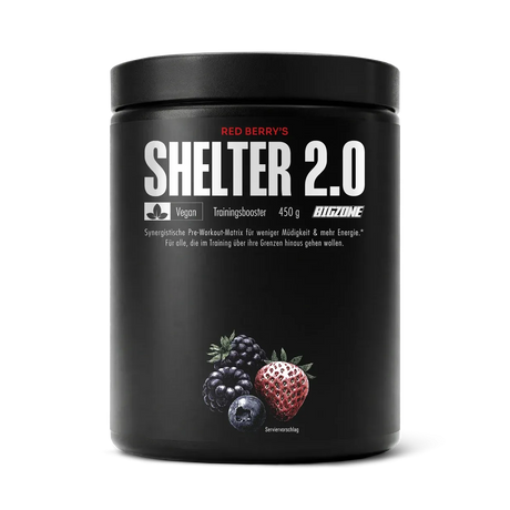 Big Zone Shelter 2.0 - 450g