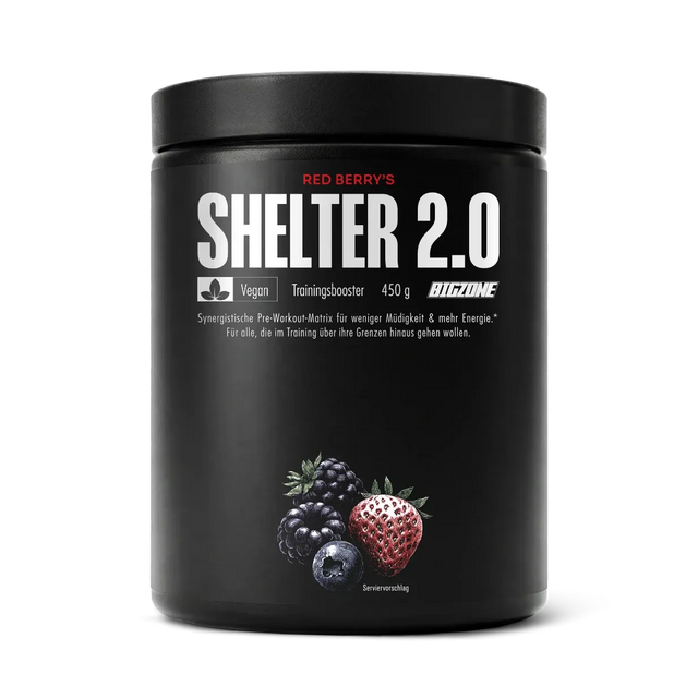 Big Zone Shelter 2.0 - 450g