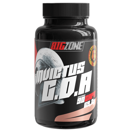 Big Zone Invictus G.D.A