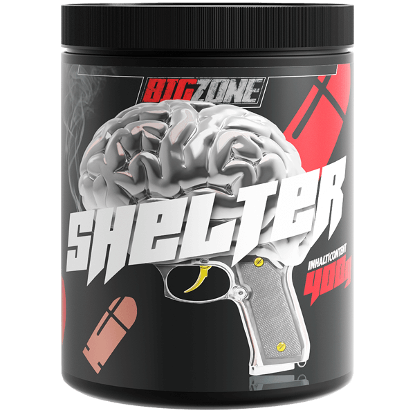 Big Zone Shelter 2.0