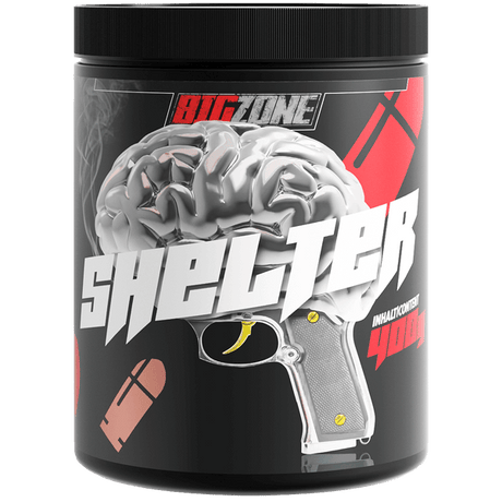 Big Zone Shelter 2.0