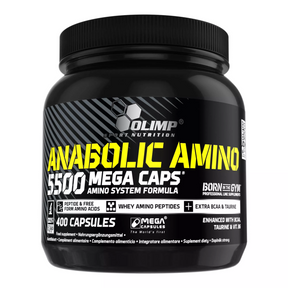 Olimp Amino 5500